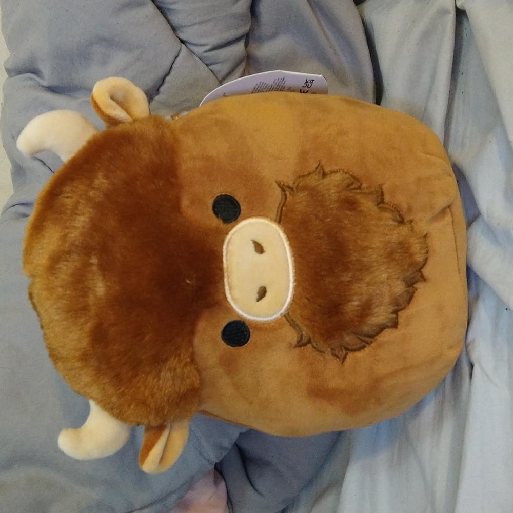 Wilfred Squishmallow